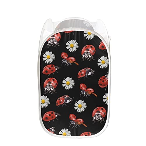 Ladybug Daisy