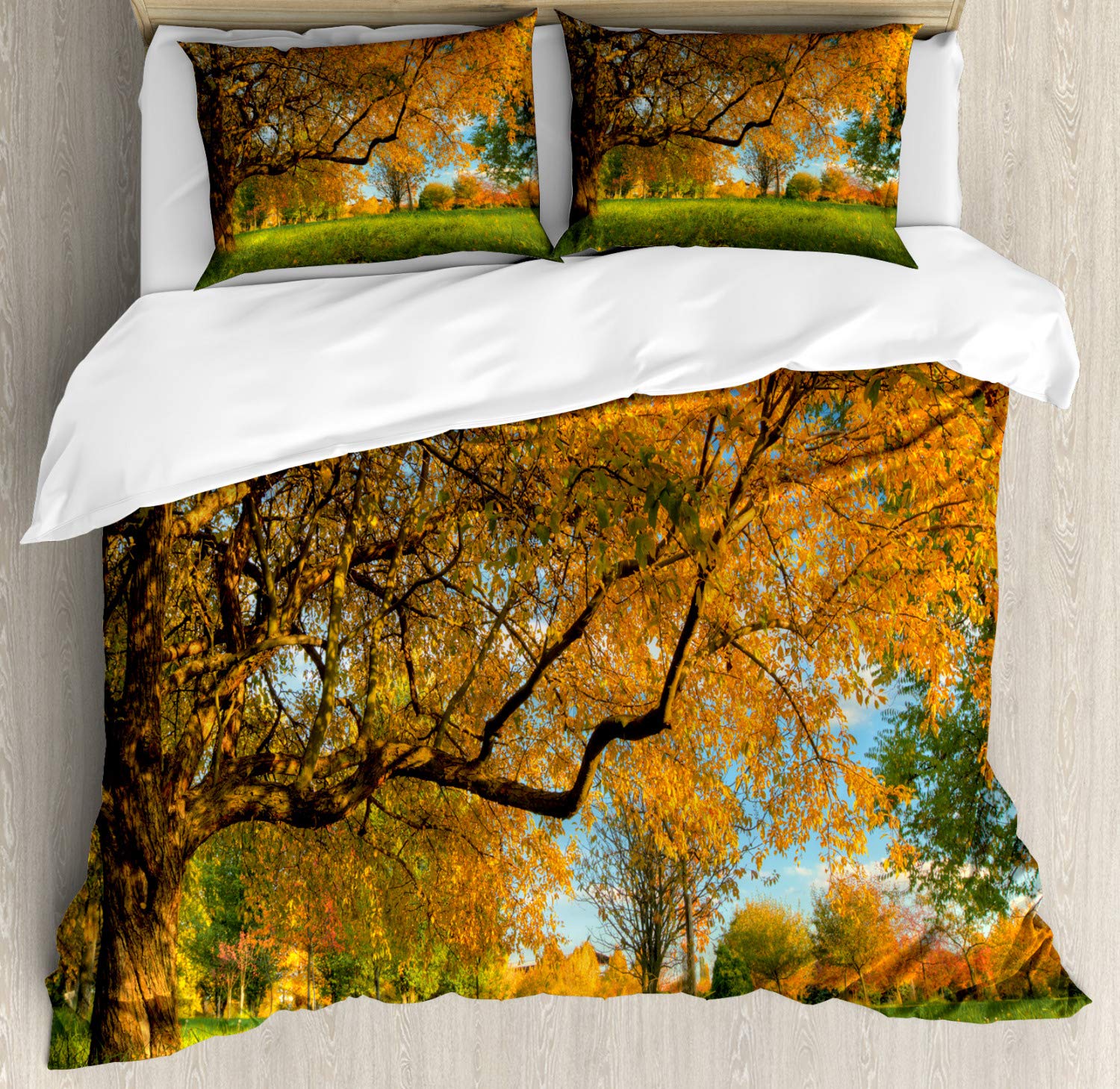 Ambesonne Fall Leaves Duvet Cover Set - Vivid Tree & Branch Illustration with Dry Leaves, Blue Sky & Grass - 3 Piece California King Bedding Set with 2 Pillow Shams - Multicolor Autumn Decor for Cozy Bedroom & Seasonal Home Staging