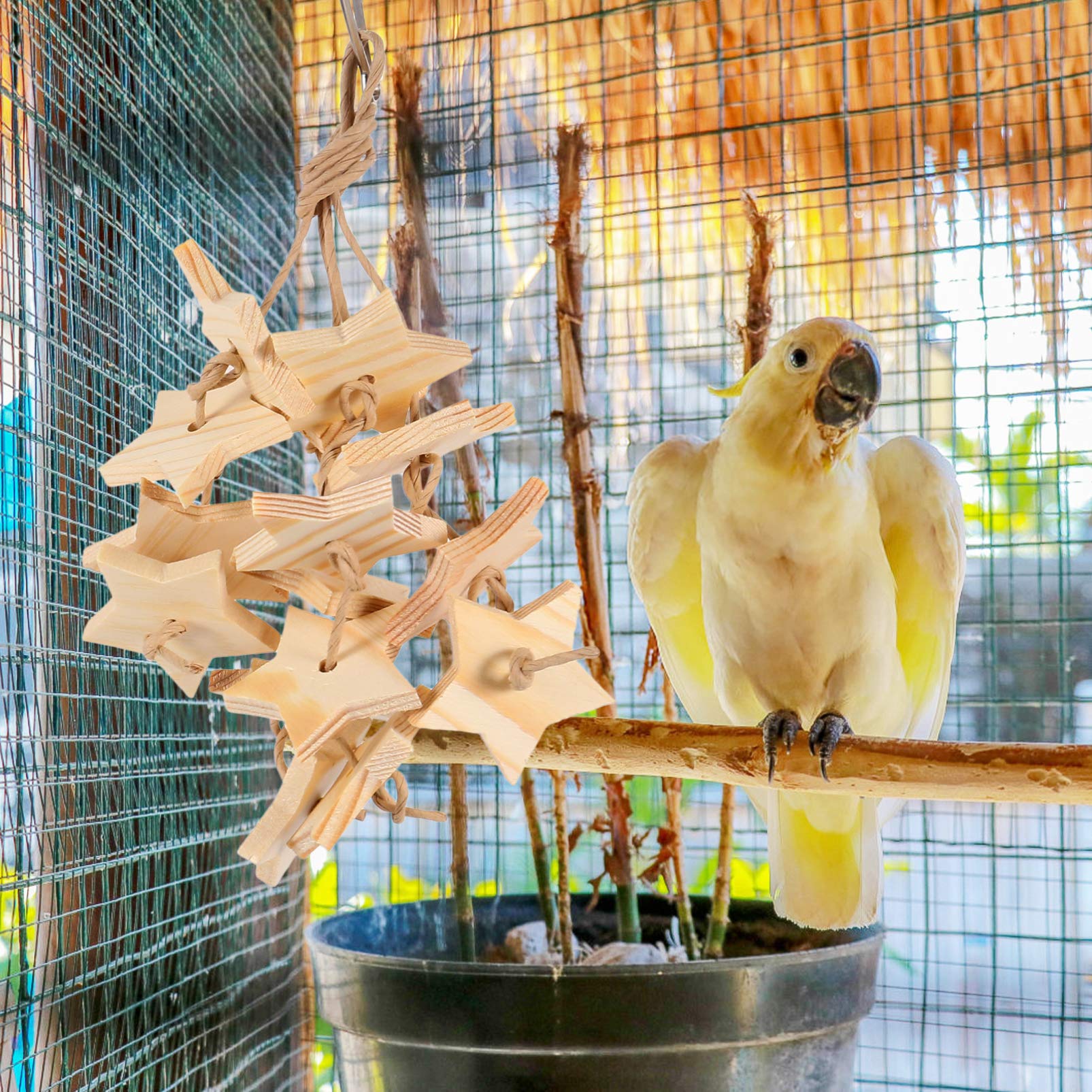 POPETPOP 6pcs Parrot Chew Toys - Colorful Bird Cage Hanging Toys for Chewing & Teeth Grinding | Perfect for Parrot Play, Exercise & Stress Relief | Great for Small & Medium Birds Like Cockatiels, Lovebirds & Conures