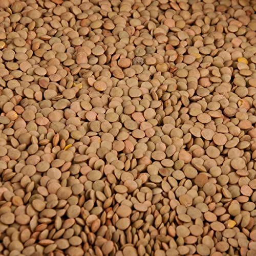 Premium USA Grown Dried Lentils - 20 LBS Bulk Wholesale Supply | High-Quality Pantry Staples for Home Cooking, Restaurants & Hotels | Perfect for Soups, Stews & Healthy Meals