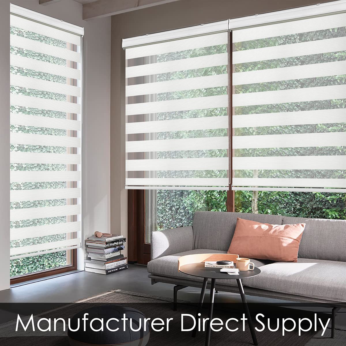 Zebra Roller Blinds for Windows - Light Filtering & Sheer Day/Night Shades - 20