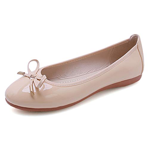 Apricot-p-xwd7651