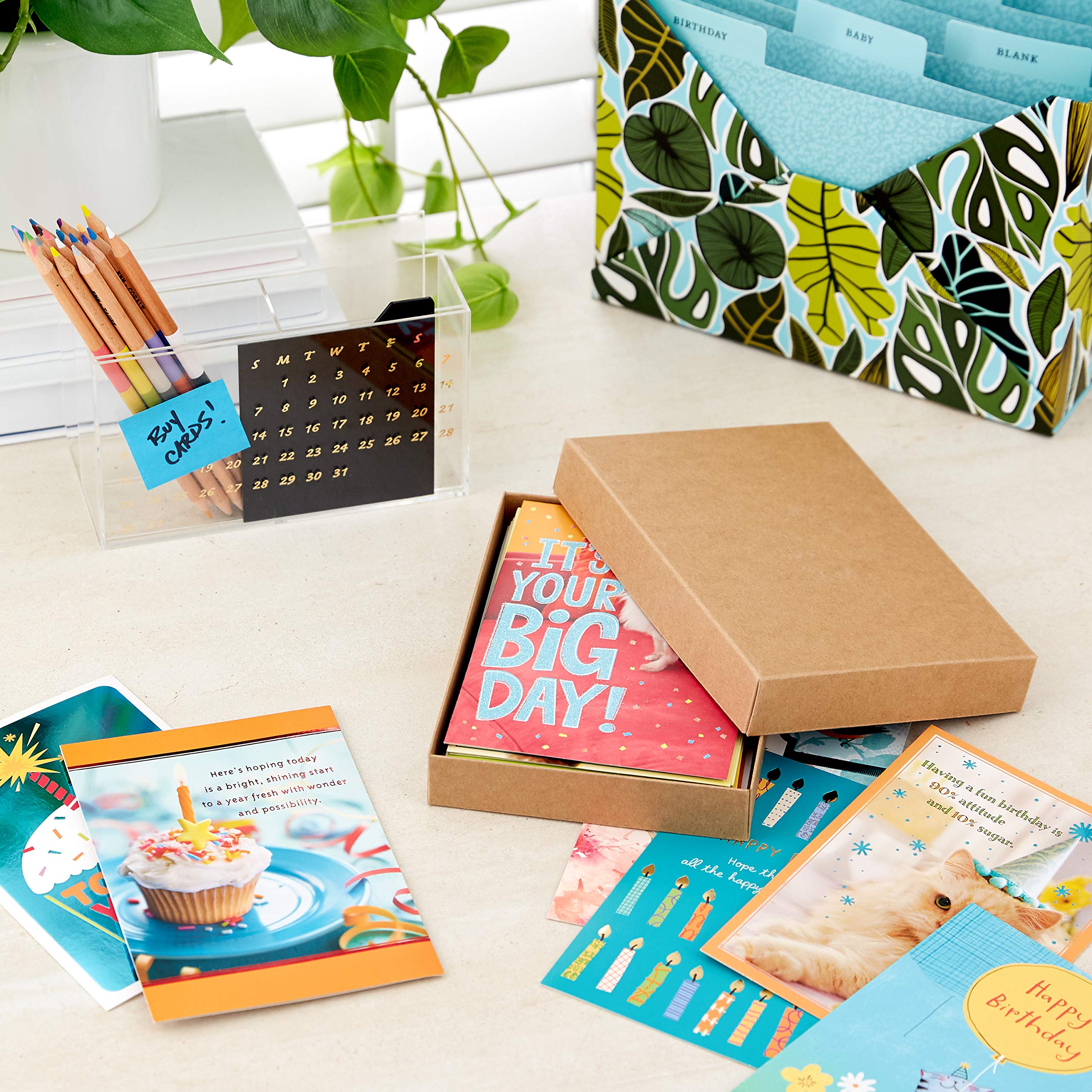Hallmark Birthday & All Occasion Greeting Cards - 68 Card Variety Pack for Friends, Family & Coworkers - Perfect for Birthdays, Anniversaries, Thank You & Holidays