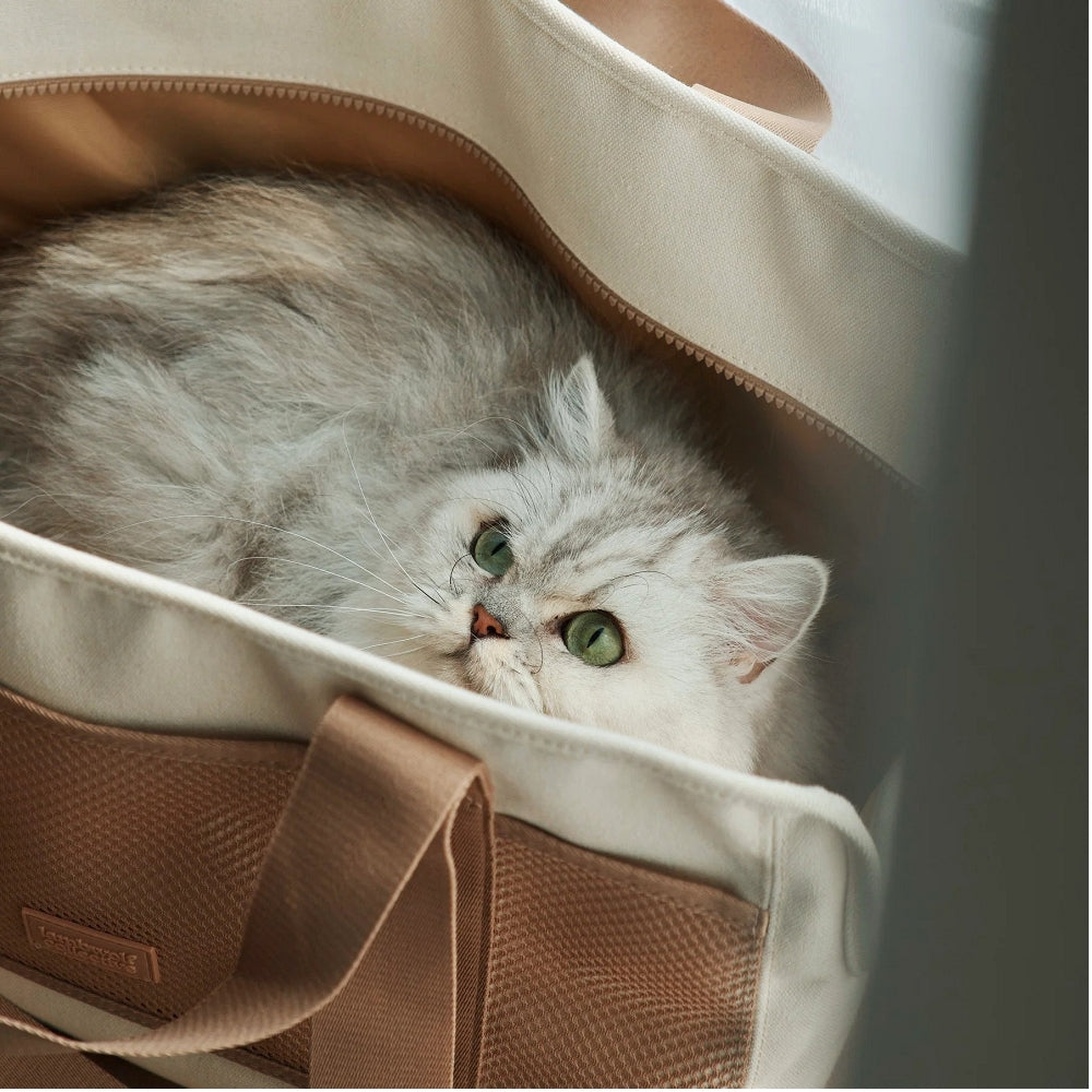 Subway Small Pet Carrier - Lightweight & Airline Approved Travel Carrier for Cats, Dogs & Small Animals - Perfect for Air Travel, Vet Visits & Outdoor Adventures