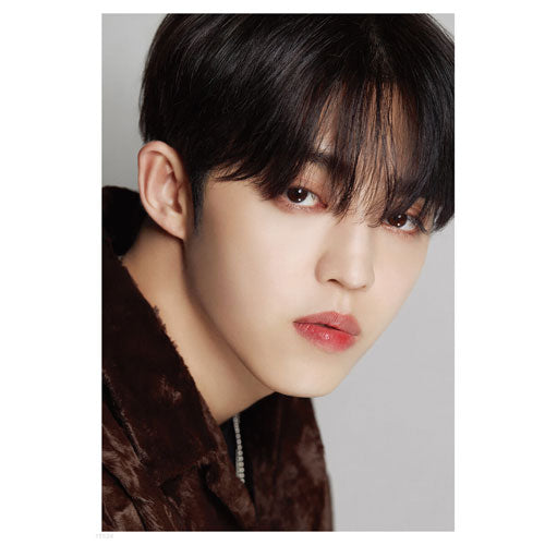 D'FESTA SEVENTEEN 10th Anniversary Limited Edition Photobook - Kpop Merchandise, BTS Memorabilia, Collectible Album for ARMY Fans | Perfect for Kpop Collections, Birthday Gifts & Fan Meetings