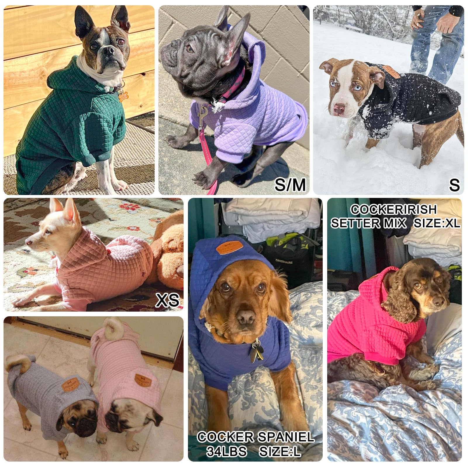 BEAUTYZOO Dog Hoodie for Small Medium Large Dogs - Warm Winter & Fall Dog Sweater with Pocket for Puppies, Bulldogs, Pitbulls & Cats - Cozy Pet Clothing for Boys & Girls - Perfect for Outdoor Walks & Indoor Lounging