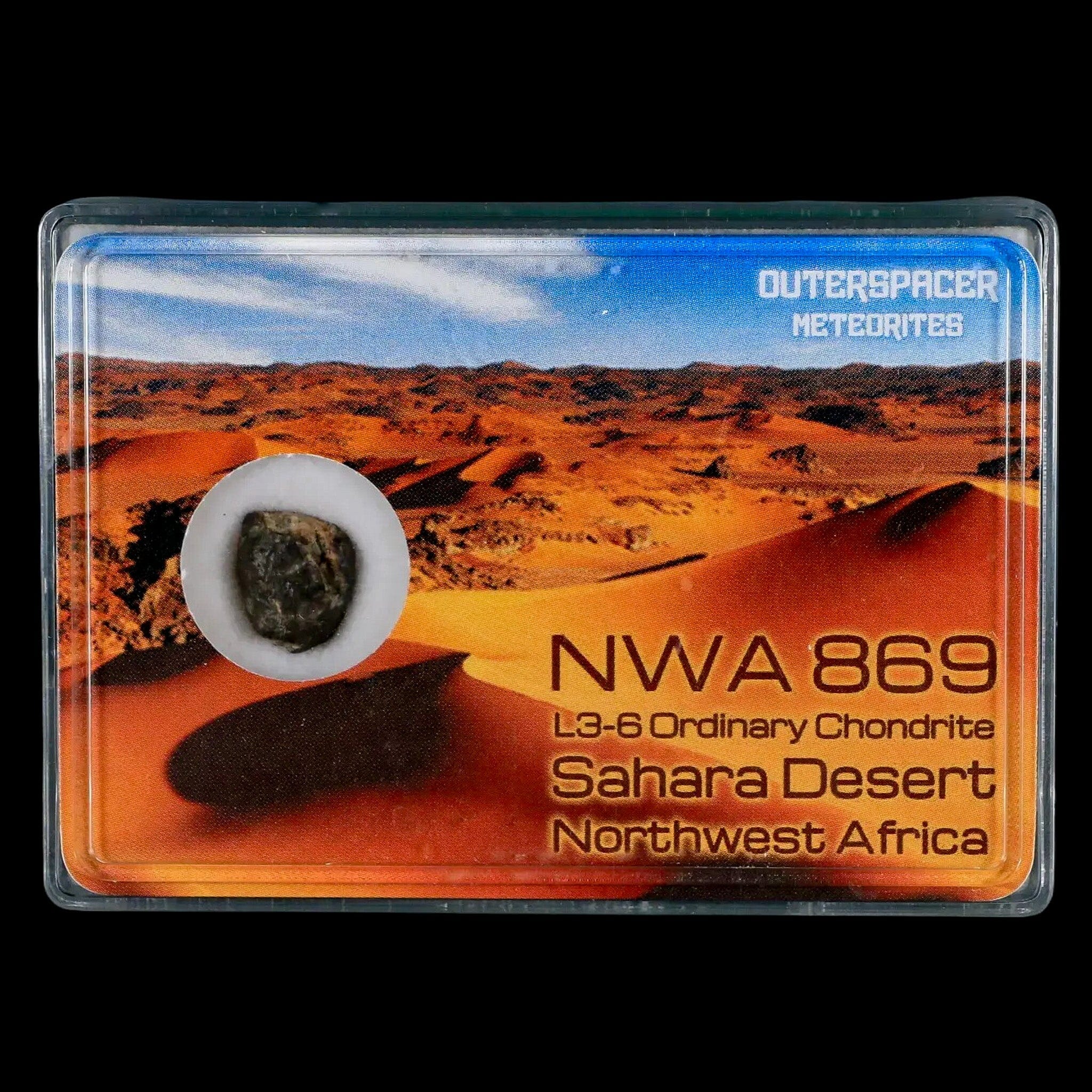 NWA 869 Meteorite from Sahara Desert - Authentic L3-6 Chondrite Space Rock (1.23g) - Perfect for Science Display, Education & Space Collectors