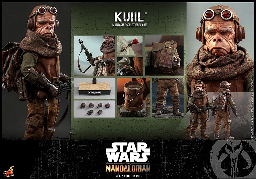 Hot Toys 1:6 Scale Kuiil Action Figure - The Mandalorian Collectible Toy for Adults, Star Wars Gift for Fans | Display, Collection, Cosplay Prop