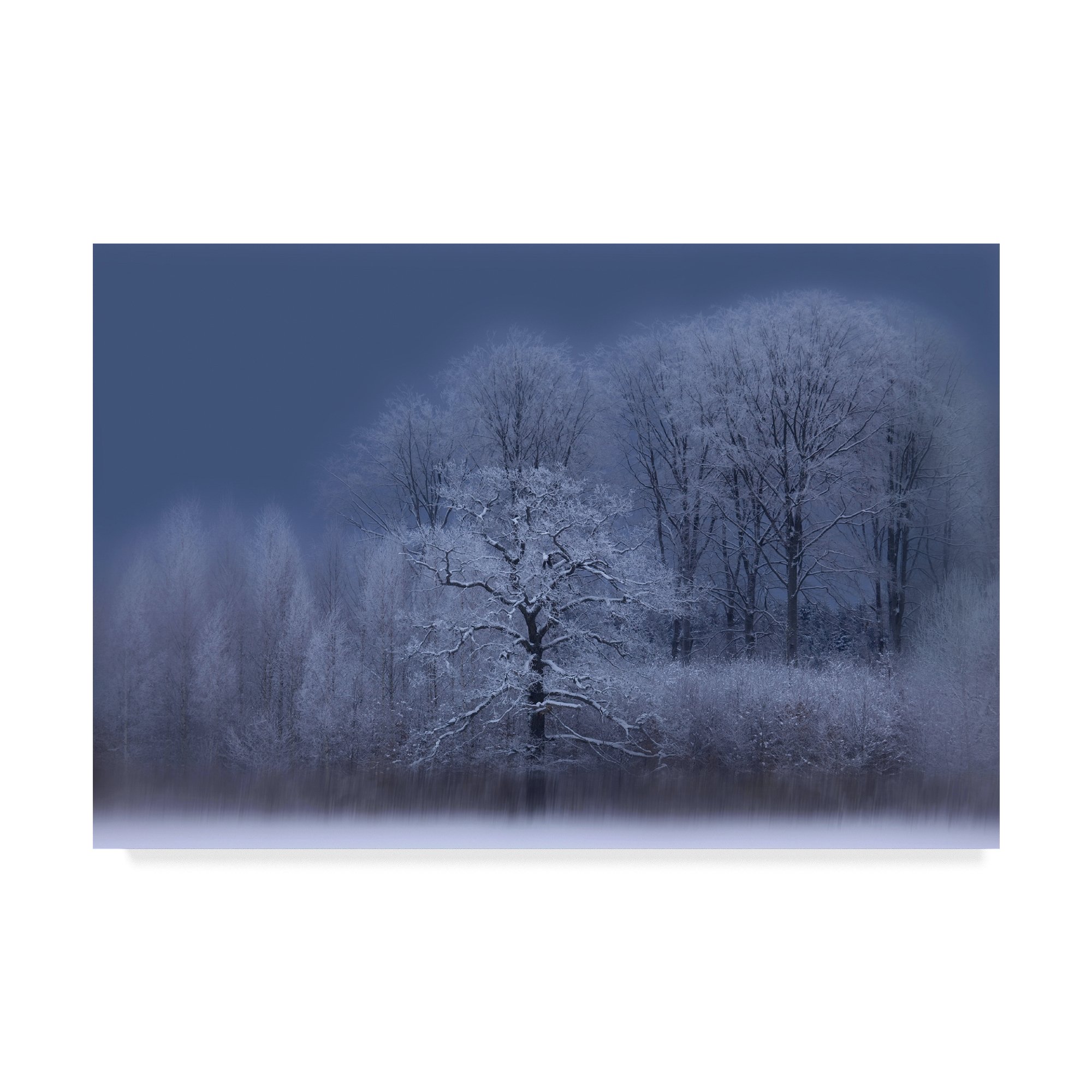 Trademark Fine Art Allan Wallberg Multicolor Canvas Painting - Perfect for Living Room, Bedroom & Office Wall Decor