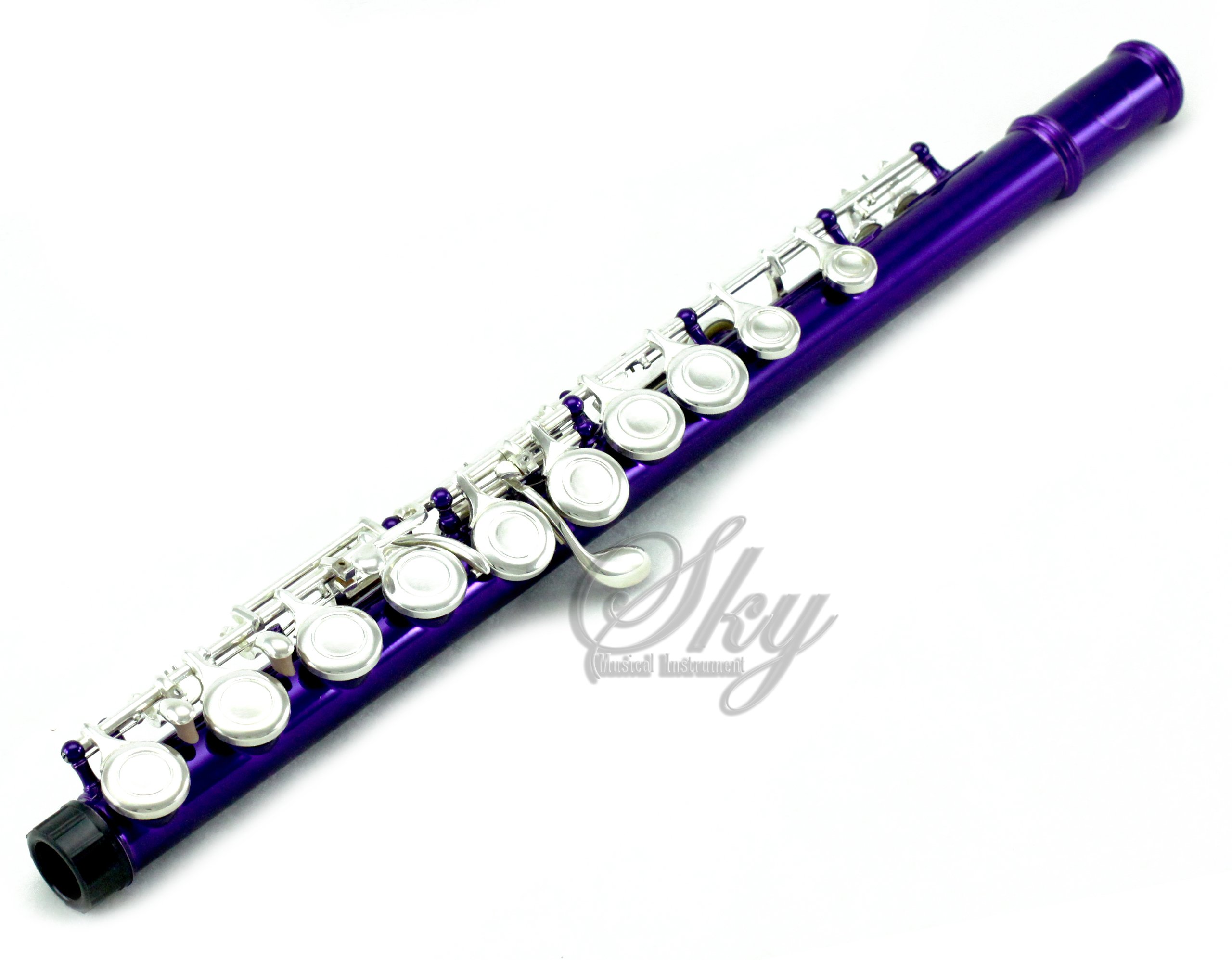 Professional Sky C Flute with Lightweight Case - Includes Cleaning Rod, Cloth, Joint Grease & Screwdriver - Purple/Silver Closed Hole Flute for Beginners & Students | Perfect for School Bands, Practice & Performances