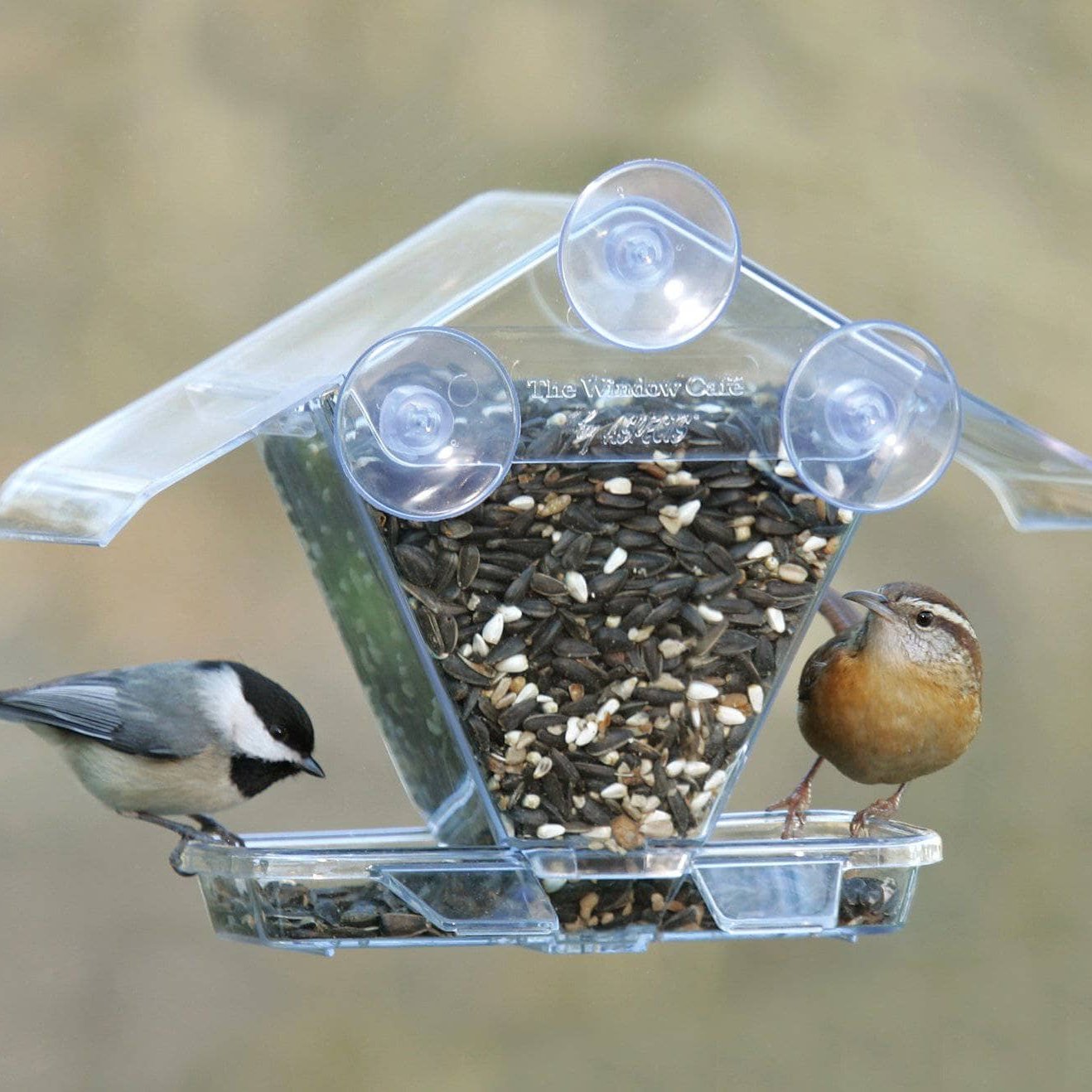 Transparent Window Bird Feeder for Outdoor Bird Watching - Attract Wild Birds to Your Garden or Patio