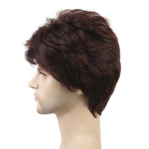 Short Straight Synthetic Men's Wig - Natural Look & Comfortable Fit for Cosplay, Costumes & Daily Wear