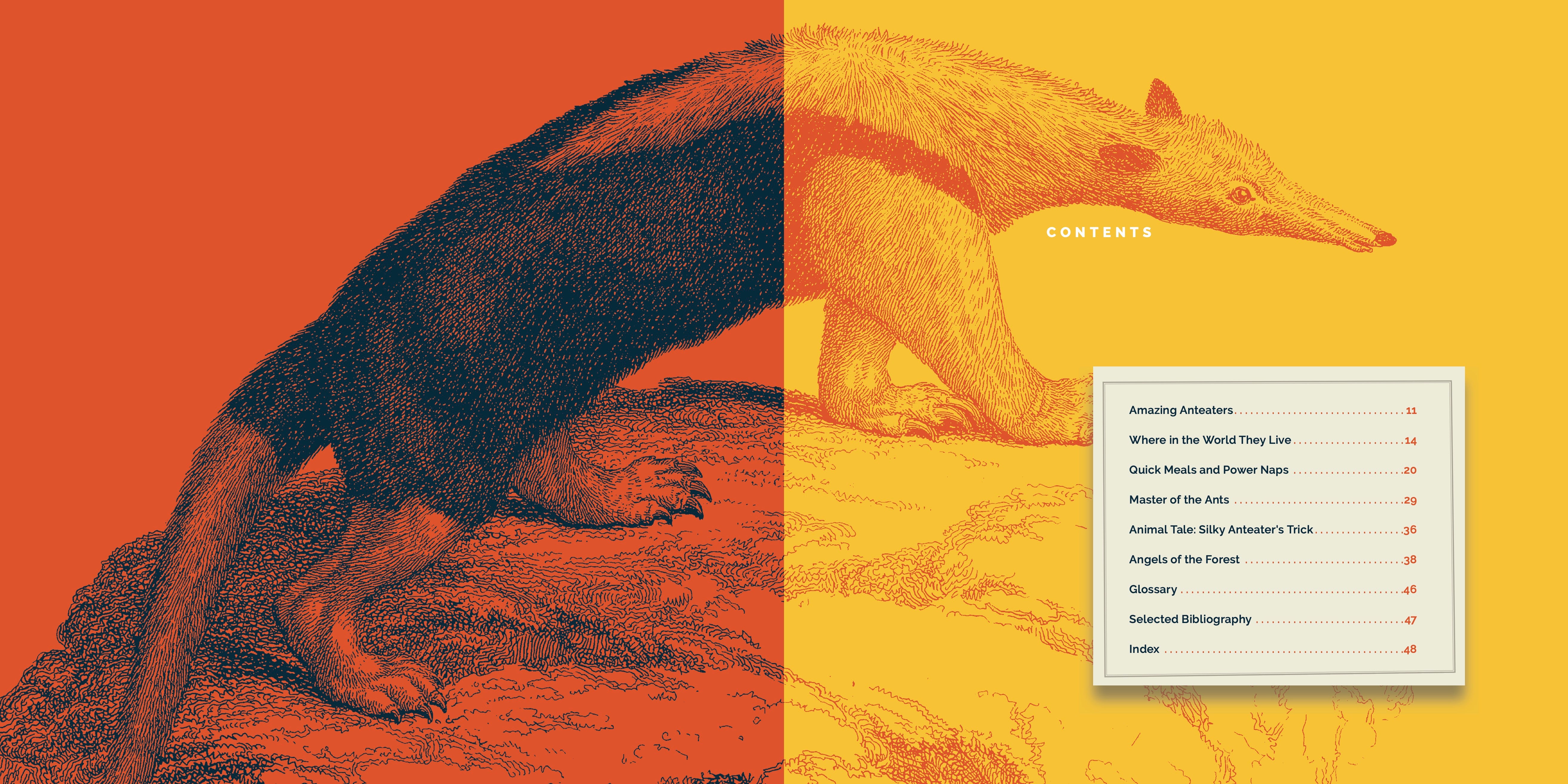 Anteaters Book 9781640267701 - Learn About Anteaters, Their Habitat & Behavior - Perfect for Kids, Animal Lovers & Science Enthusiasts