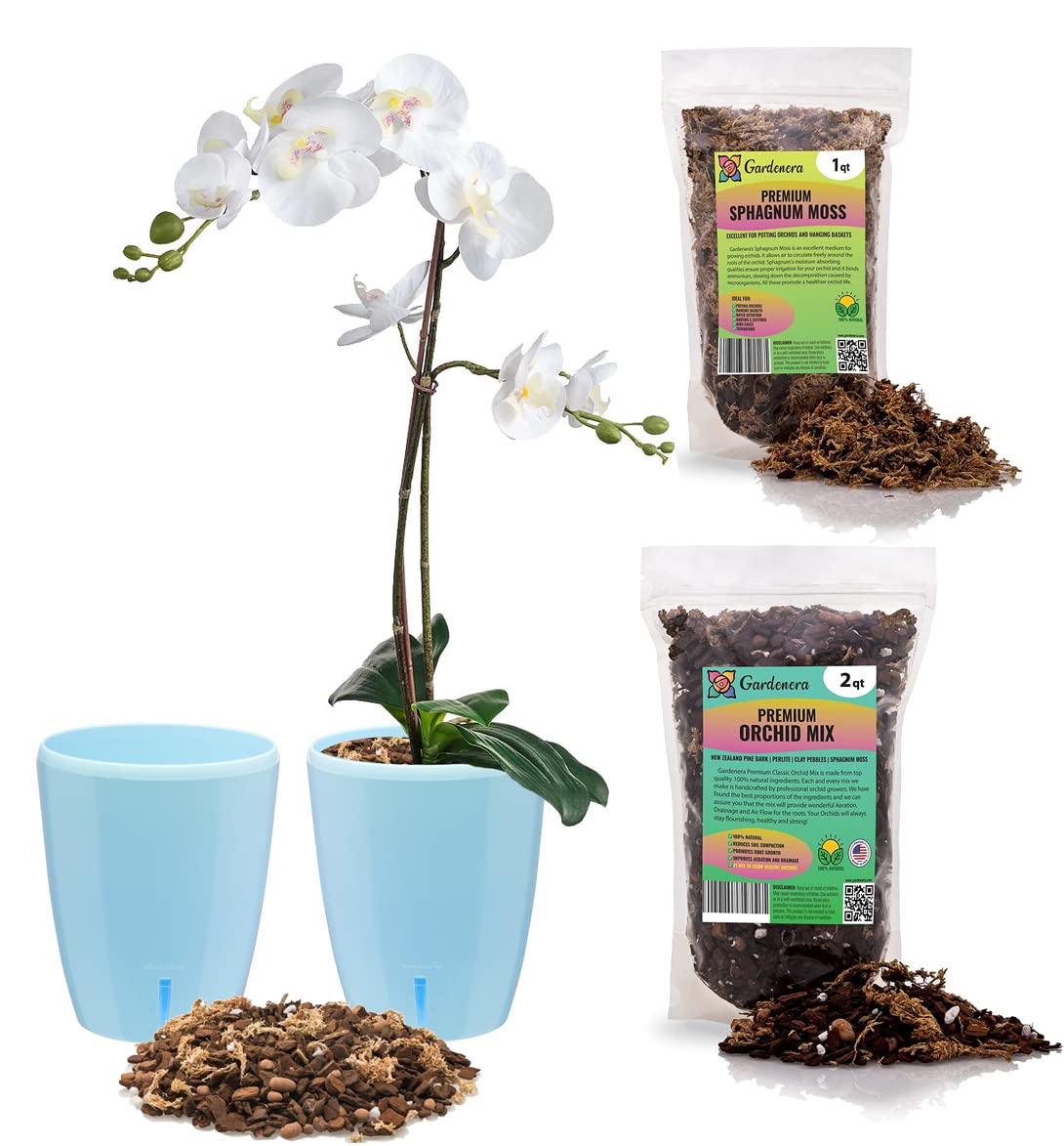 Premium Orchid Growing Kit - Set of 2 Self-Watering Planters (5.9
