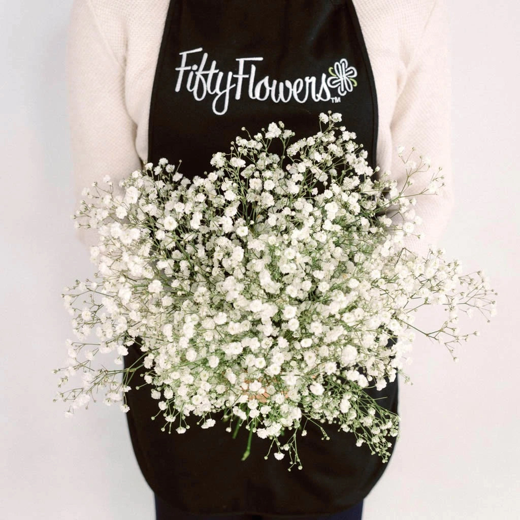 Baby's Breath Flowers for Wedding Bouquets & Romantic Decorations - Fresh Gypsophila Elegant Arrangements for Baby Showers, Bridal Parties & Home Decor
