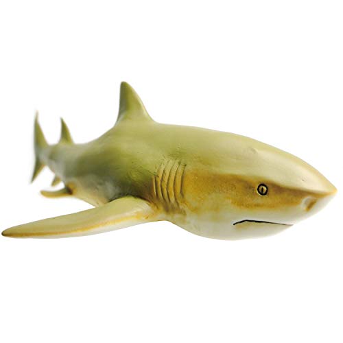 Lemon Shark
