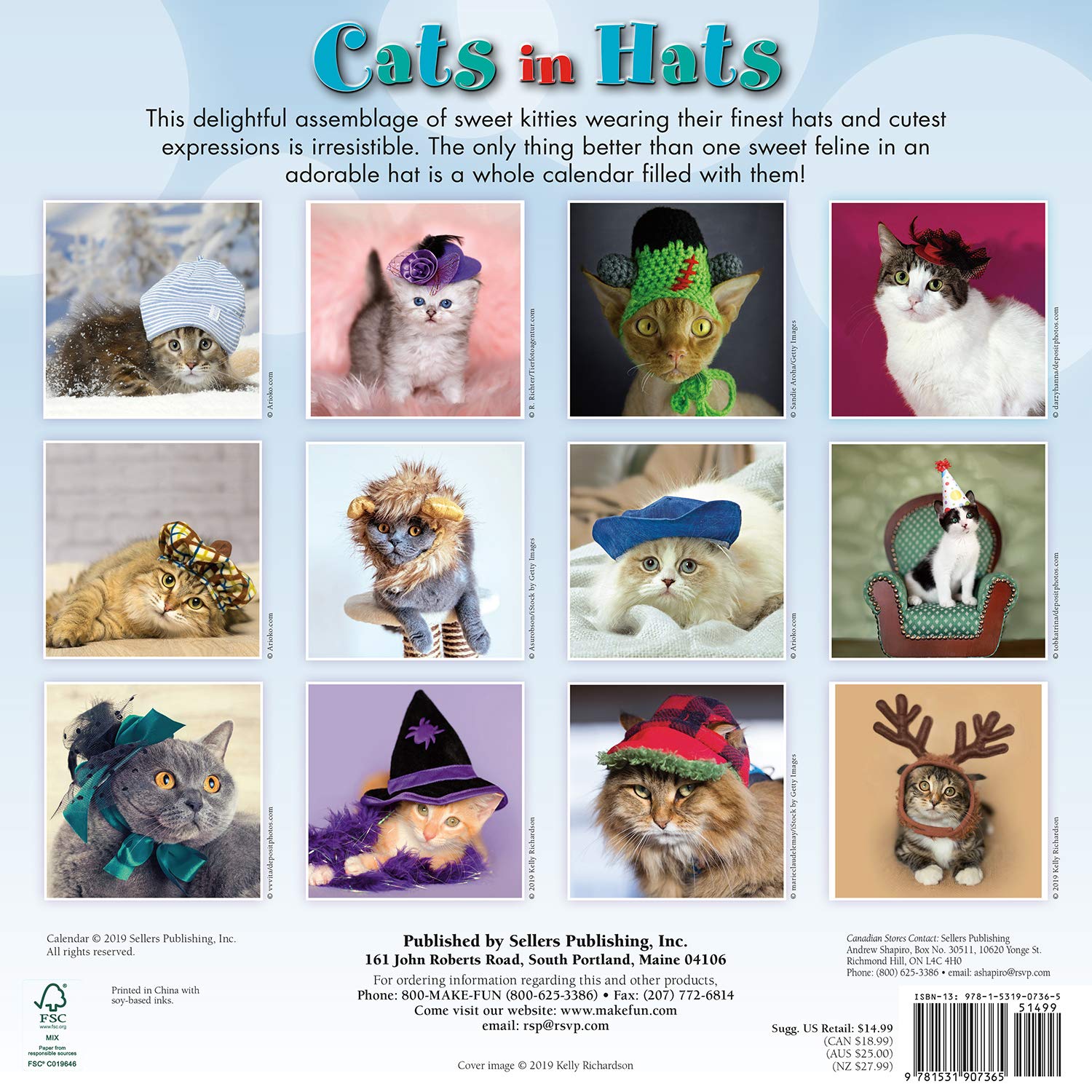 2020 Cats in Hats Wall Calendar - Perfect for Pet Lovers & Home Decor