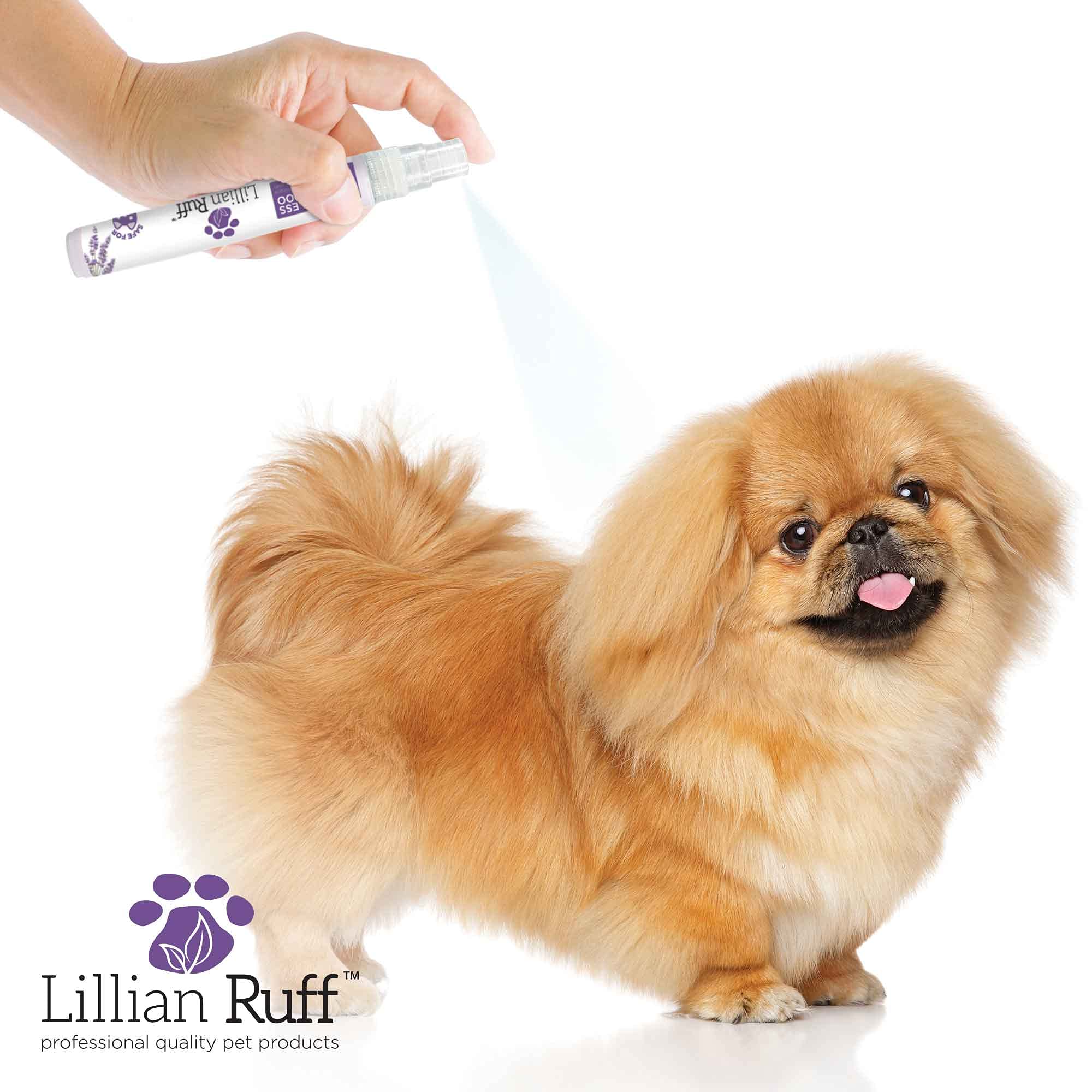 Lillian Ruff Travel Kit for Dogs - Waterless Dog Shampoo, Breath Freshener, Detangler & Ear Cleaner | Portable Grooming Spray for Airline Travel, Camping & Beach | Deodorizing Pet Care Essentials for On-the-Go Dogs