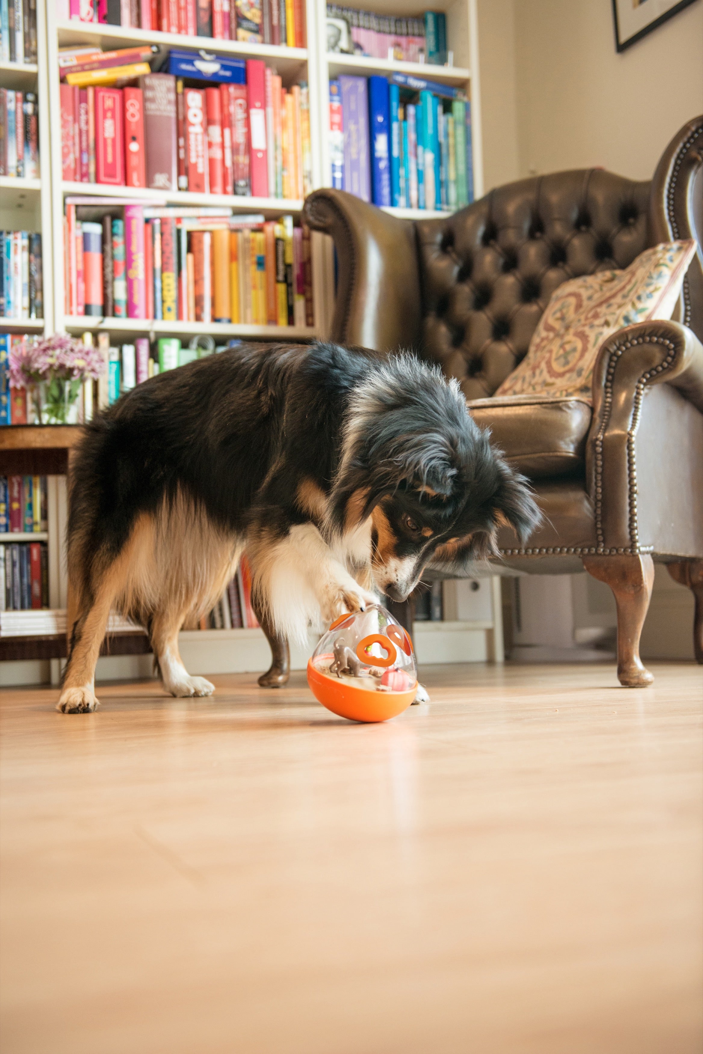 Interactive Wobble Ball Dog Toy with Treat Dispenser - Orange | Pet P.L.A.Y. | Fun Puzzle Game for Dogs to Stay Active & Entertained