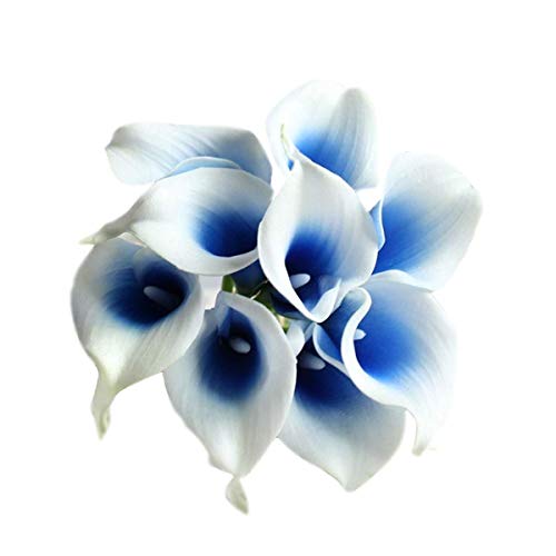 White Blue