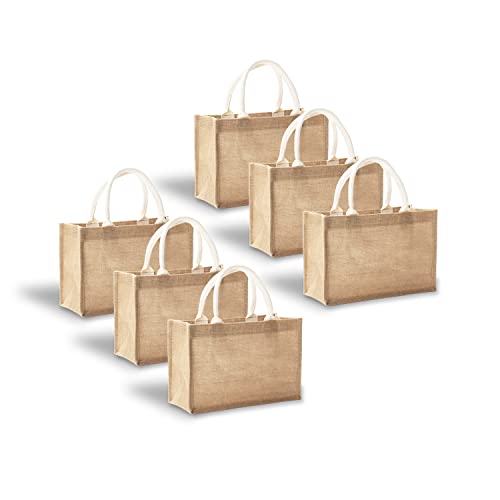 Pack of 6 Brown