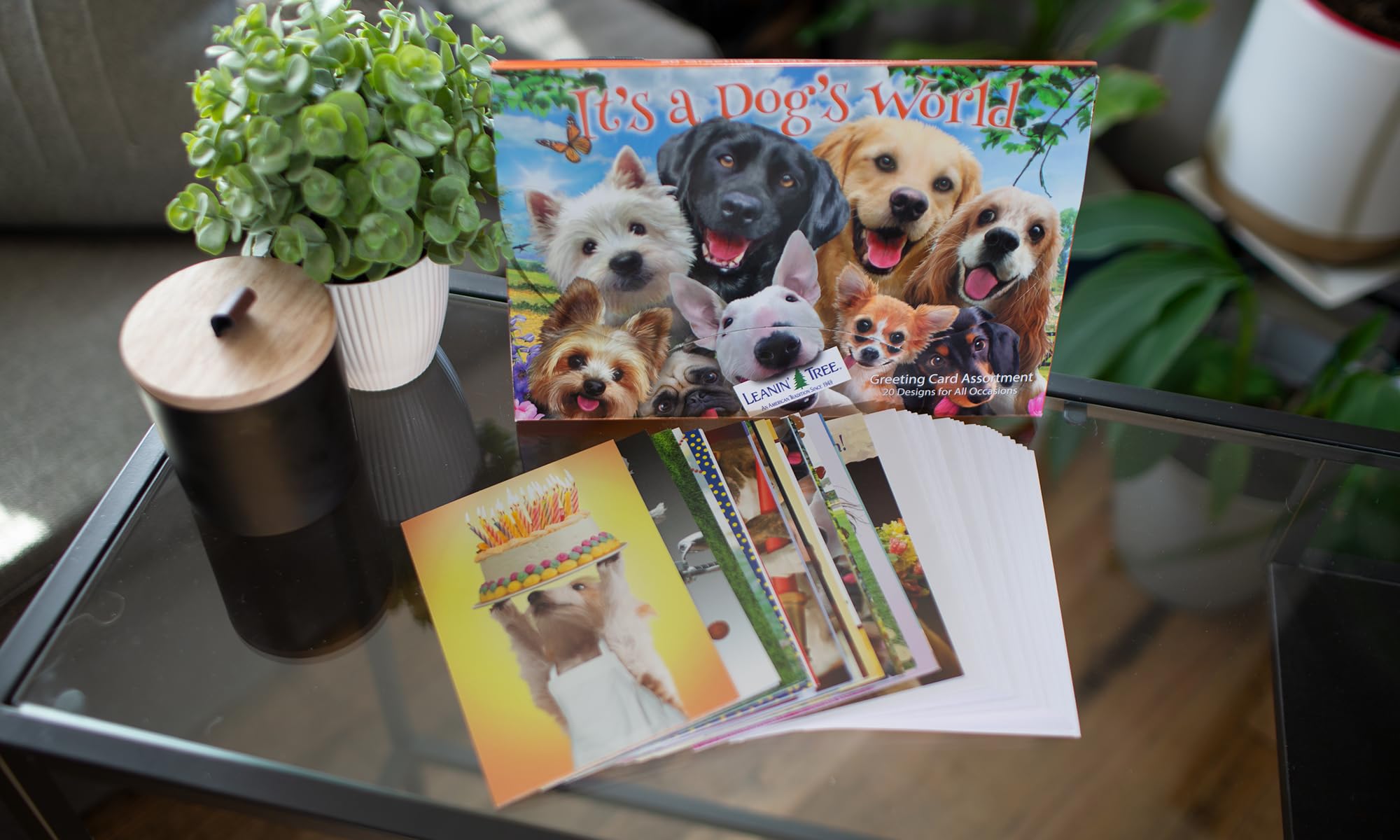 Leanin' Tree It's A Dog's World Greeting Cards Assortment Box - 20 All Occasion Cards with 22 Envelopes | Perfect for Birthdays, Thank You Notes & Pet Lovers