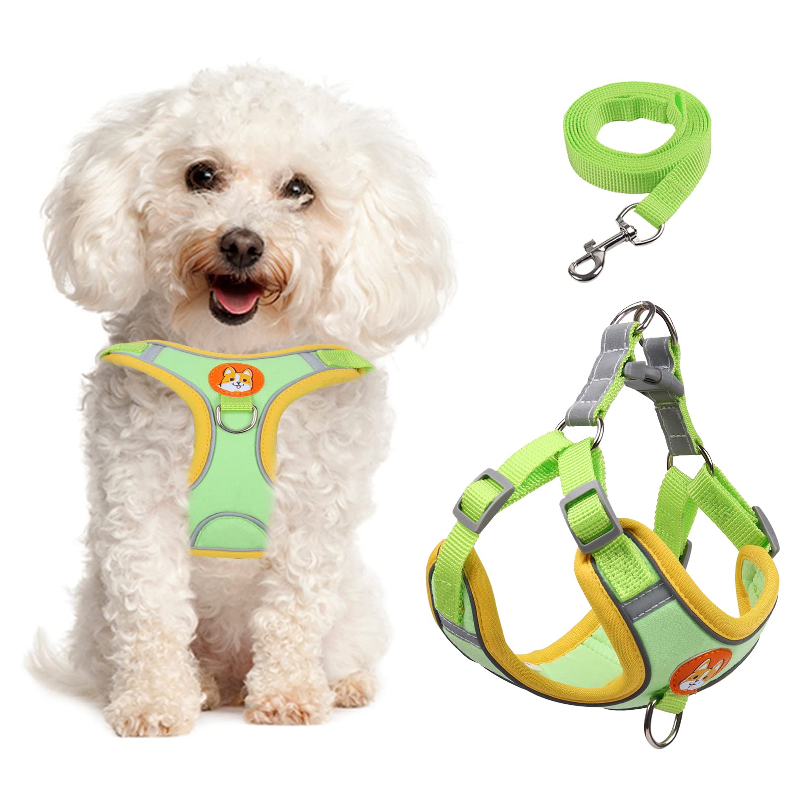 Adjustable No-Pull Dog Harness & Leash Set for Small & Medium Dogs - Reflective Comfort Vest with 2 Leash Clips | Perfect for Walking, Training & Outdoor Adventures