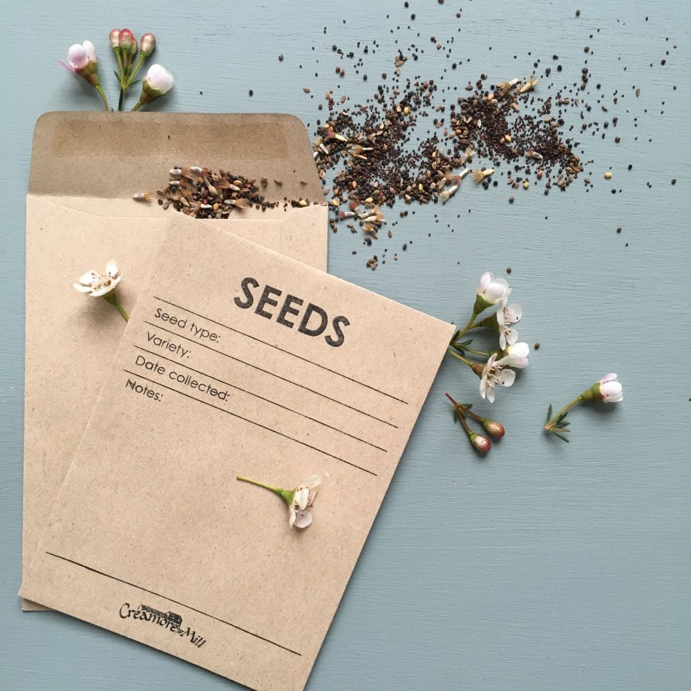 20 Pack Seed Envelopes for Planting - Waterproof & Reusable Storage Solution for Garden Seeds, Flower Bulbs & Herb Packets - Perfect for Home Gardening, Seed Swaps & Organizing Your Seed Collection