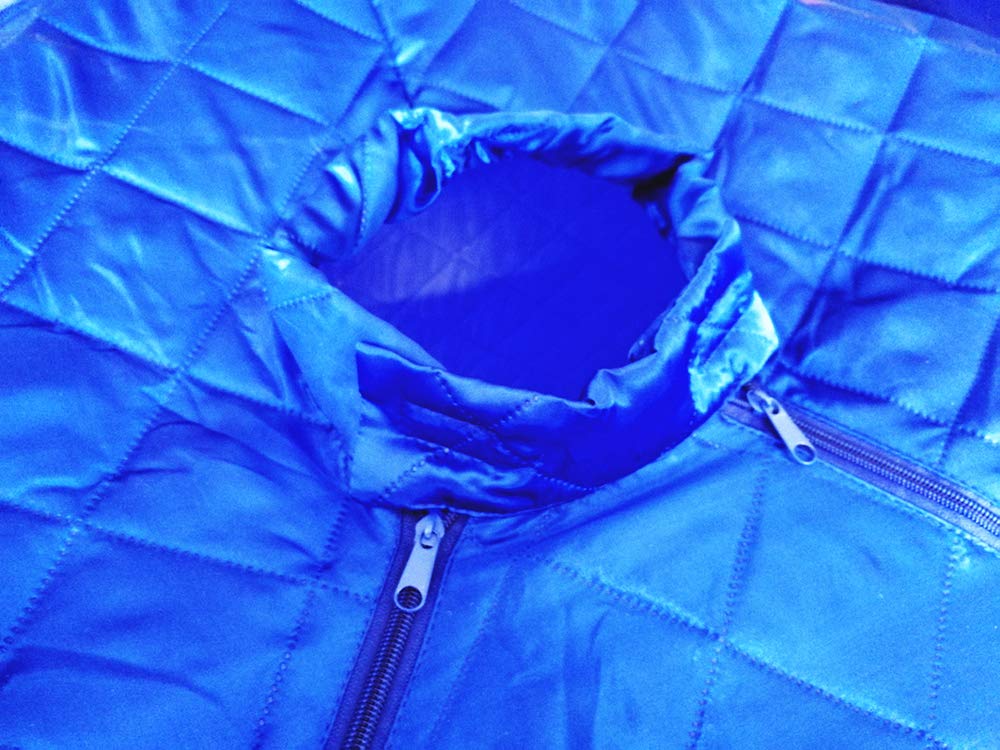 Portable Personal Steam Sauna Tent for Home - 2L 900W Foldable Steamer with Remote Control | Full Body Relaxation & Detox Therapy (Blue) | Perfect for Home Spa, Yoga Recovery & Stress Relief