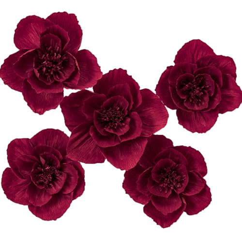 Burgundy;set/5