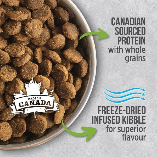 Nutrience Infusion Healthy Puppy Chicken Recipe Dry Dog Food - High Protein Grain-Free Kibble for Growing Puppies | Perfect for Small & Medium Breed Dogs | Supports Immune System & Digestive Health