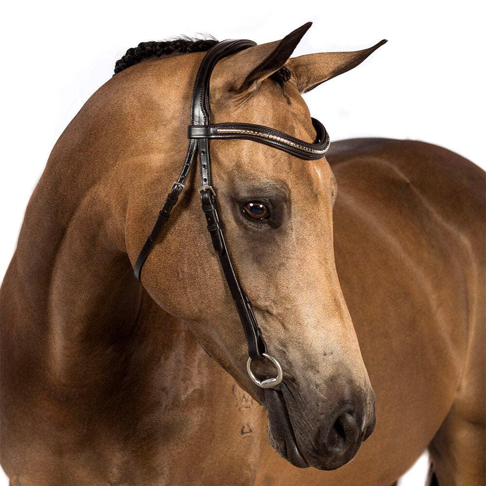 Stainless Steel Clincher Wave Gel Browband - Havana Brown for Equestrian Riding & Horse Training | Comfortable & Secure Fit for Dressage, Jumping & Trail Riding