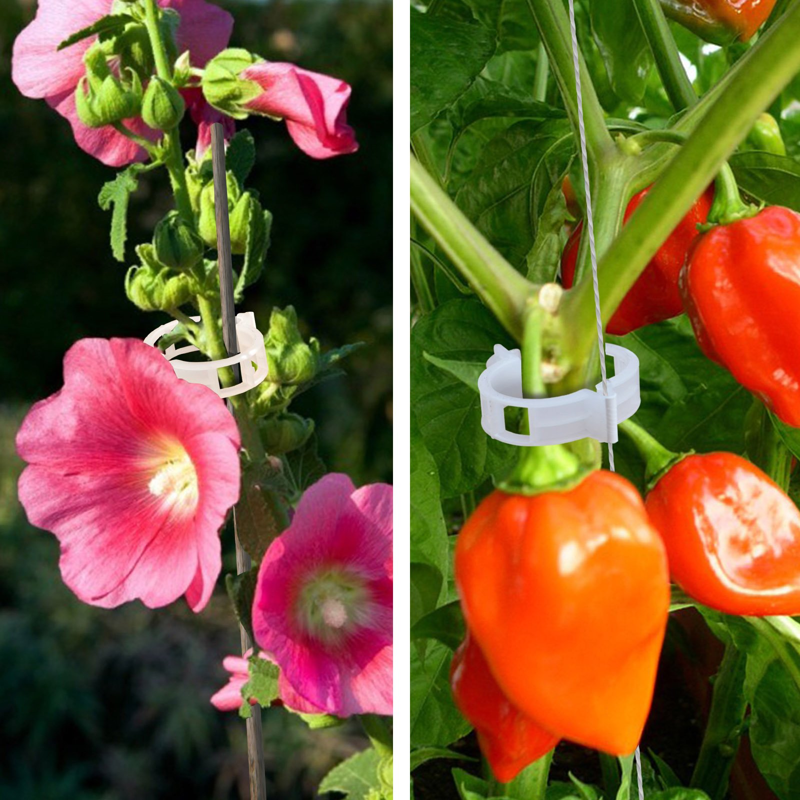 BenefitUSA 25mm Garden Clips - Tomato Trellis Clips for Vine Support, Plant Clips for Vegetables, Tomatoes, and Upright Growth (400 Pack) - Perfect for Home Gardening, Greenhouses, and Vertical Farming