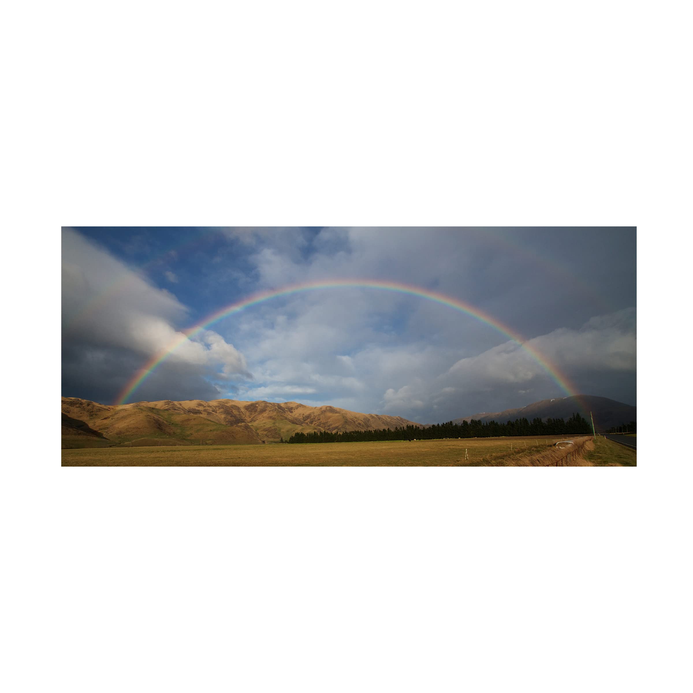Trademark Fine Art 'Rainbow' Canvas Wall Art by Roger Fraser - Vibrant Abstract Painting for Living Room, Bedroom & Office Decor