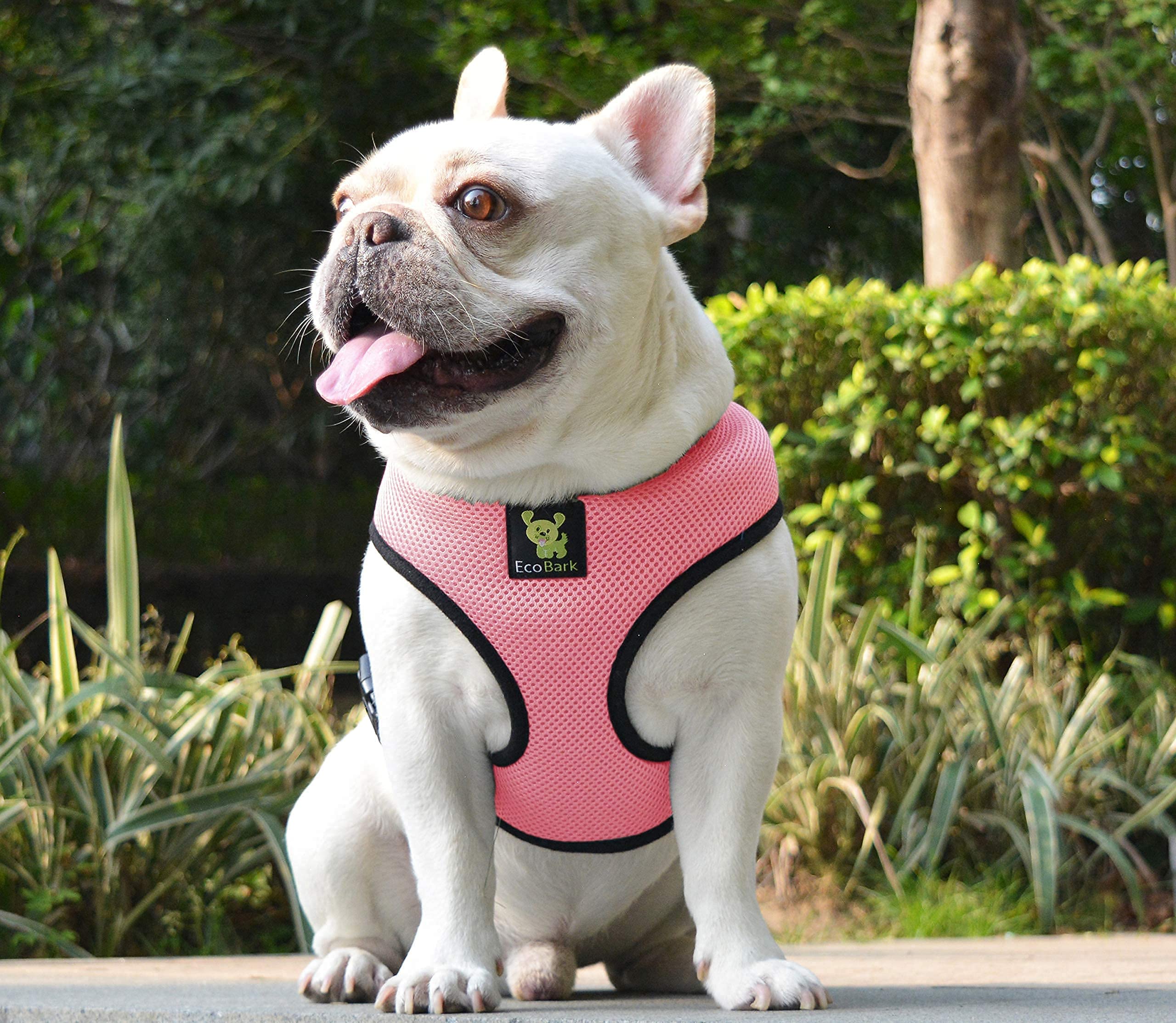 EcoBark No Pull Dog Harness - Eco-Friendly Soft Mesh Vest for Small Dogs & Puppies - Comfortable Overhead Design, Choke-Free, Light Pink - Perfect for Walking, Training & Outdoor Adventures