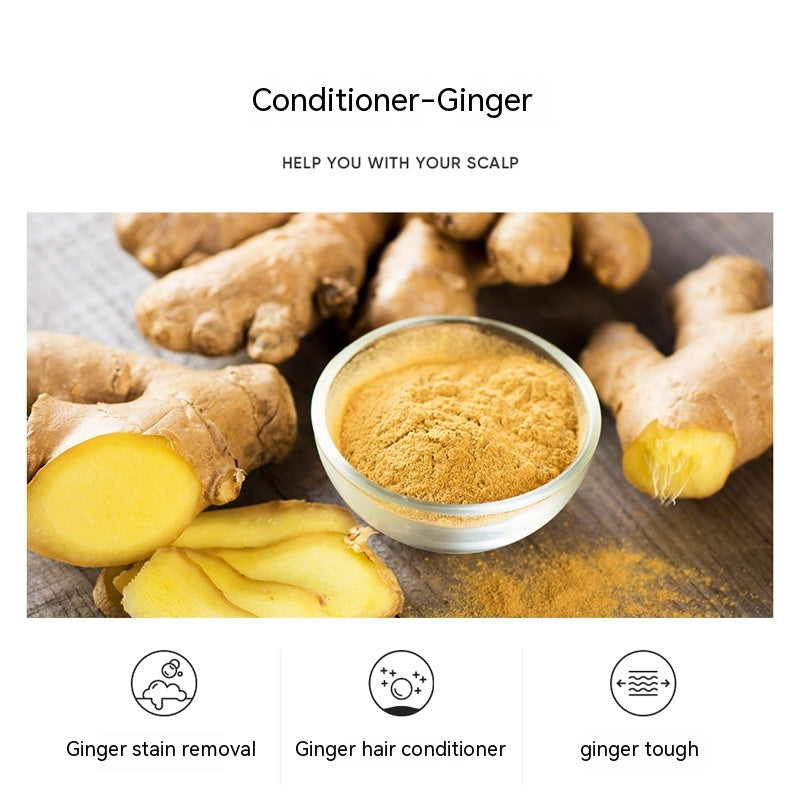 Ginger Soft Hair Conditioner - Hydrating & Repairing for Dry, Damaged Hair - Sulfate-Free & Gentle Formula - Perfect for Daily Use & Post-Color Treatment Care