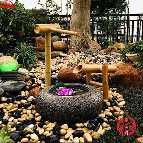 Solar Powered Fountain Pump Kit for Bird Bath, Small Pond, Garden & Fish Tank - Outdoor Water Feature with Solar Panel for Patio, Yard & Backyard Decor (Perfect for Attracting Birds & Enhancing Garden Aesthetics)