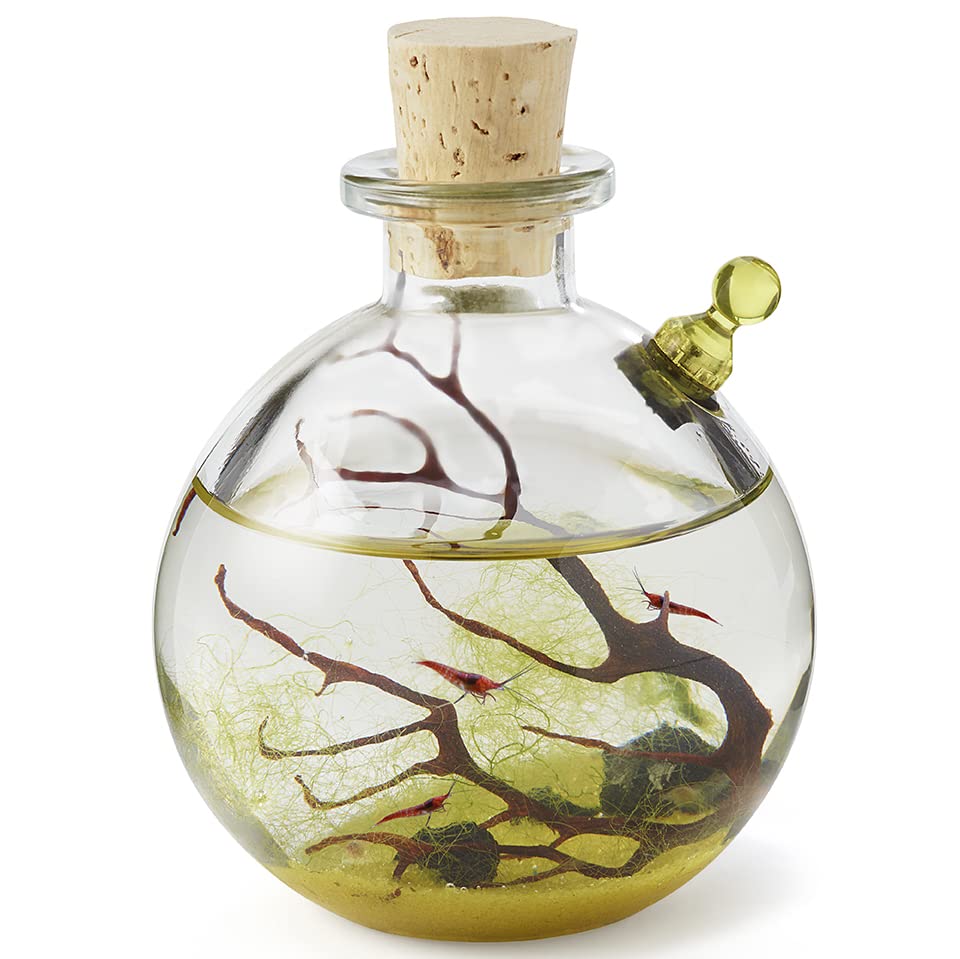 Self-Sustaining Glass Ecosystem Terrarium Kit - Indoor Plant Decor for Home, Office, or Gift - Perfect for Relaxation, Meditation & Nature Lovers