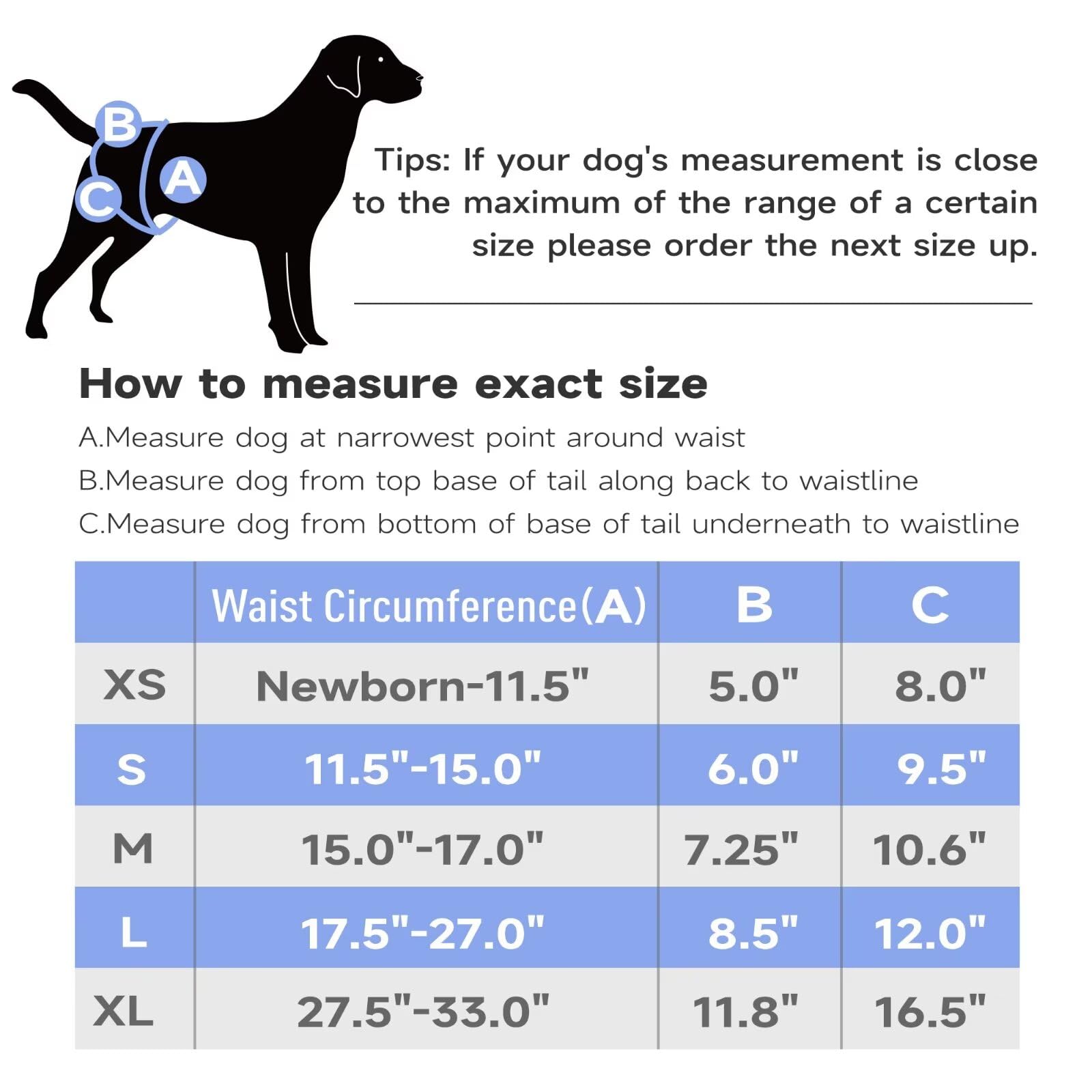 Paw Legend Washable & Reusable Female Dog Diapers for Heat Period - 3 Pack Large Size | Puppy Incontinence Protection | Perfect for Indoor Use, Travel & Nighttime