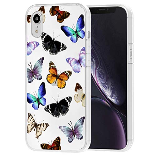 Colorful Butterfly