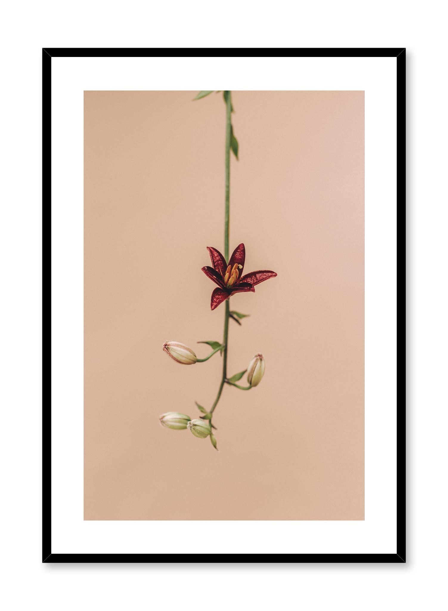 Flower Drop Poster - Vintage Floral Wall Art Print for Home & Office Decor - Perfect for Living Room, Bedroom, or Gift