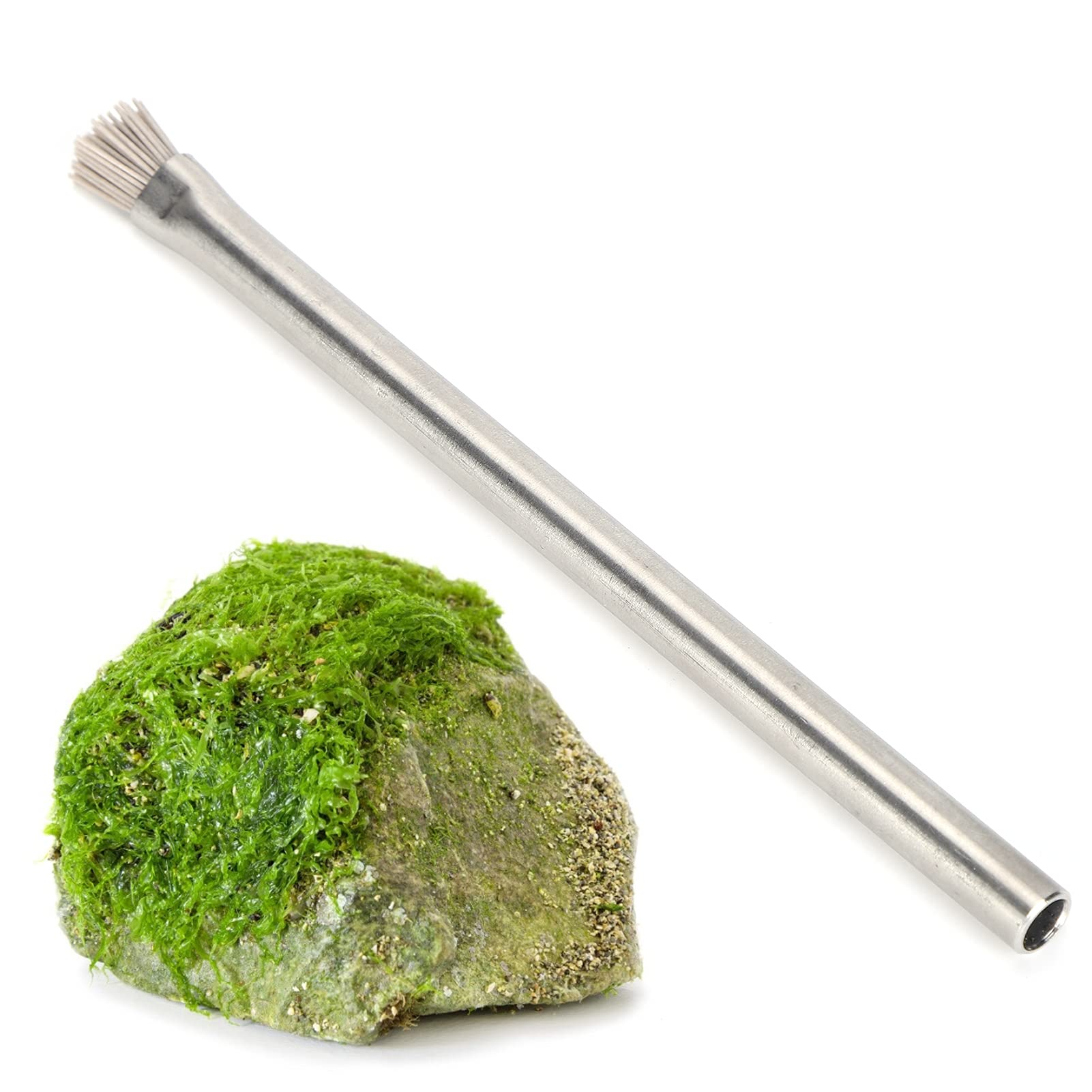 CHICIRIS Aquarium Stone Brush - Stainless Steel Fish Tank Brush for Cleaning Glass & Concrete - Perfect for Freshwater & Saltwater Tanks, Pond Maintenance, and Aquascaping