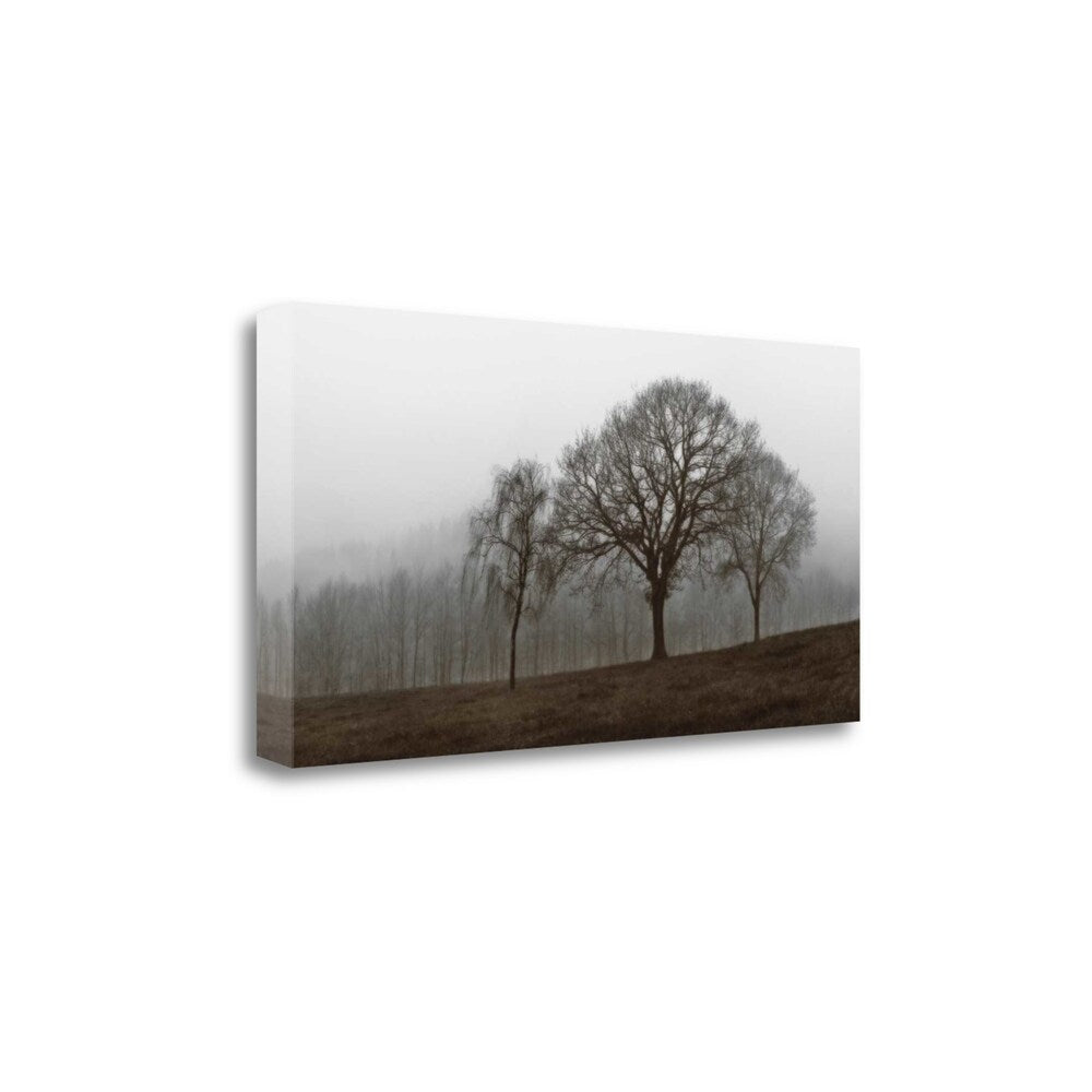 Autumn Fog By Ily Szilagyi - Premium Giclee Art Print on Gallery Wrapped Canvas - Ready to Hang Wall Decor - Perfect for Living Room, Bedroom & Office Decor