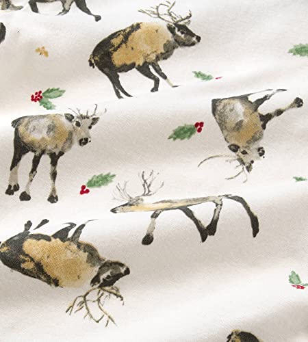 Northern Reindeer