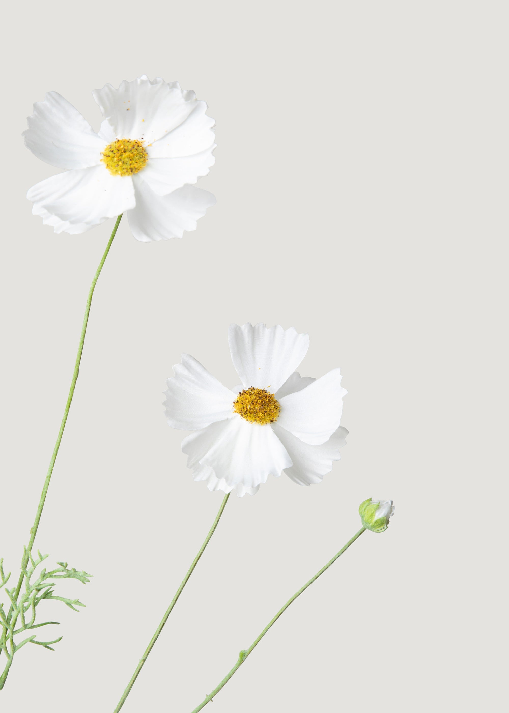 Artificial White Cosmos Daisy Wildflowers - 36.25