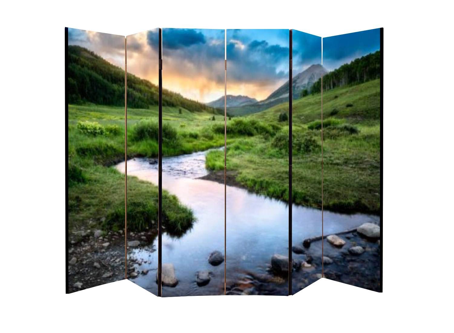 Wooden Folding Room Divider - 6 Panel Canvas Privacy Screen with Dual-Sided Design for Home Office, Bedroom Partition & Indoor Display Shelves | Perfect for Creating Private Spaces in Living Rooms, Studios, and Workspaces
