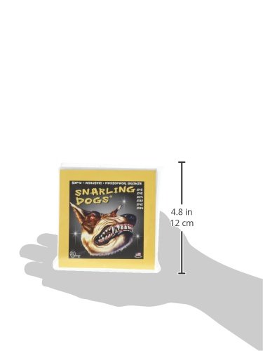 D'Andrea SDP12 Phosphor Bronze Acoustic Guitar Strings - Premium Custom Light Gauge for Warm Tone & Longevity | Perfect for Folk, Country & Fingerstyle Playing