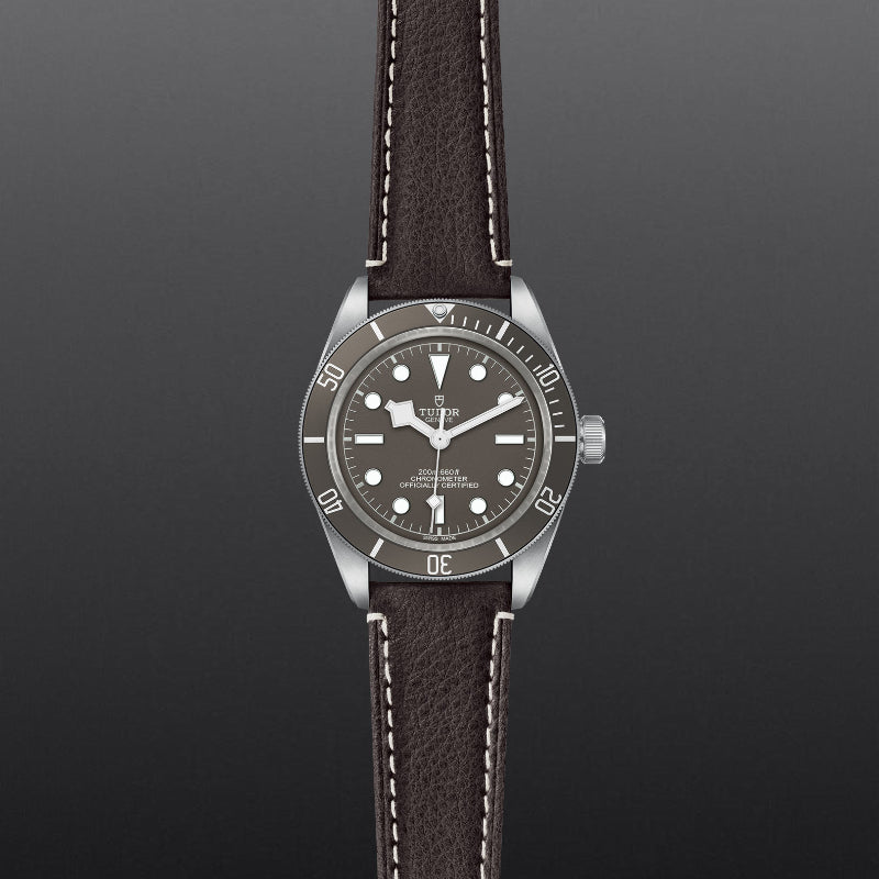 Tudor Black Bay 58 925 Silver Dive Watch - Luxury Swiss Automatic Diver for Men | Perfect for Professional Diving, Casual Wear & Special Occasions