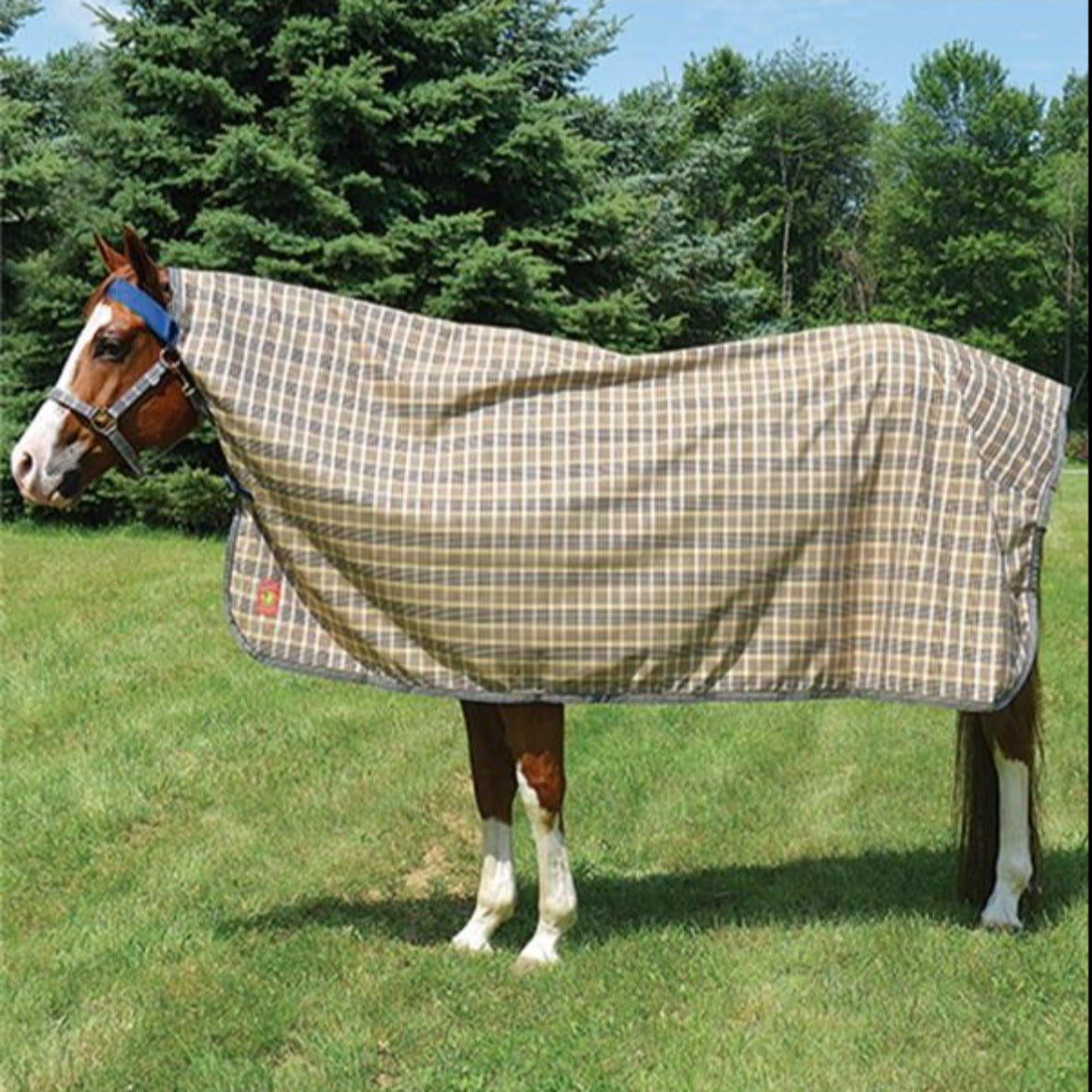 Baker Plaid