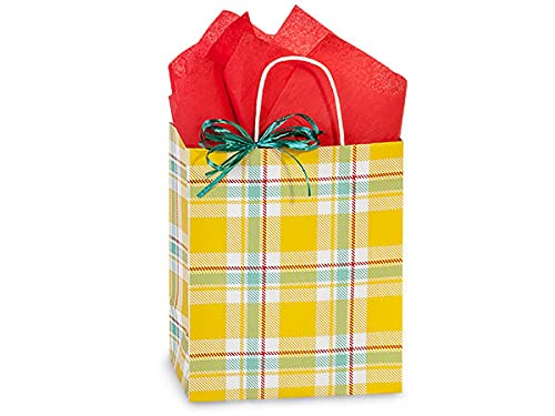 250 Pack Sunshine Plaid Paper Shopping Bags - 8x4.75x10.25 Inches - Eco-Friendly Gift Bags for Parties, Holidays, Weddings & Events - Made in USA - Perfect for Birthday Gifts, Christmas Presents & Retail Packaging
